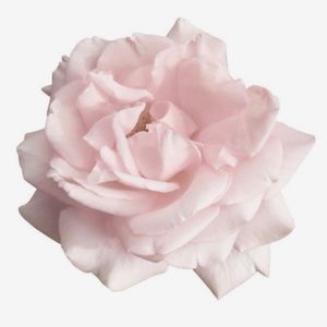 Meet your Posher, El